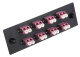 фото Панель  Lanmaster LAN-APM-8x2LC/OM4 в Перми