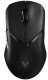 фото Мышь Wireless Rapoo VT9Pro в Красноярске