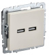 фото Розетка USB  IEK BR-U21-D31-K10 в Уфе