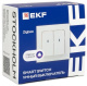 фото Выключатель умный EKF RCV-ST2-WD-ZB в Уфе