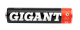фото Аккумулятор Gigant G-AAA1000-2