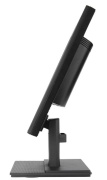 фото Монитор Acer V196LBb
