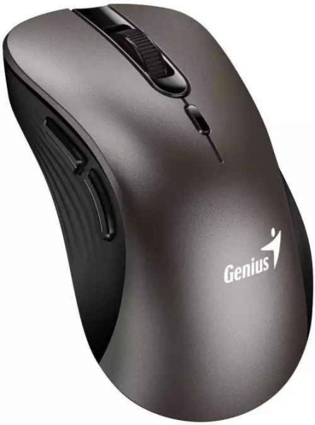 фото Мышь Wireless Genius Ergo 8100S Champagne titanium в Омске