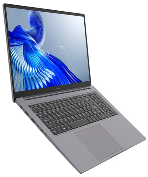 фото Ноутбук  Maibenben Perfectum P725 в Уфе 17.3 ", Core i5, 16 Гб RAM, 1 Тб SSD, UHD Graphics, Серый