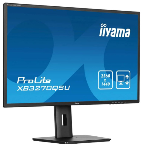 фото Монитор 31,5" Iiyama ProLite XB3270QSU-B1 в Перми
