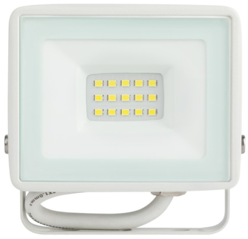 фото Прожектор светодиодный ЭРА Б0054640 в Красноярске