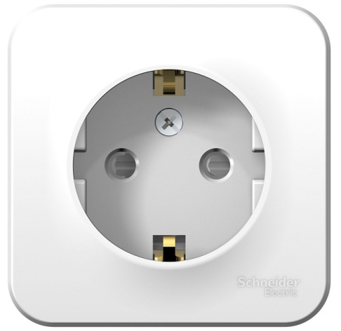 фото Розетка  Systeme Electric BLNRA011121 в Перми