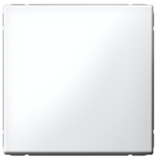 фото Выключатель одноклавишный Systeme Electric GAL001311S