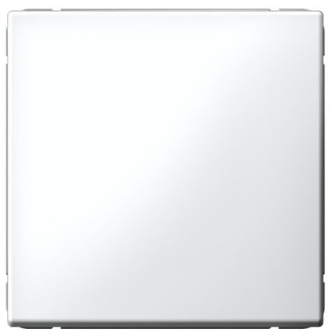 фото Выключатель одноклавишный  Systeme Electric GAL001311S в Омске