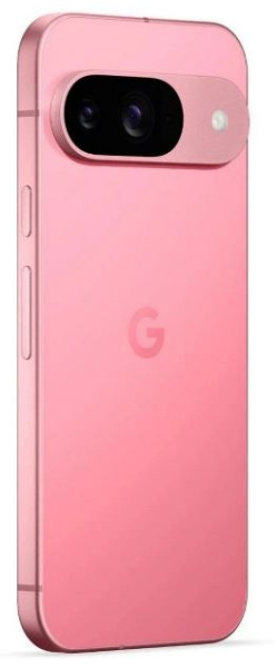 фото Смартфон   Pixel 9 12/128GB (УЦЕНЕННЫЙ) в Омске