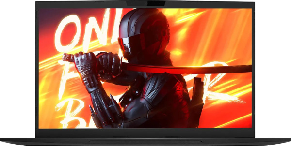 фото Ноутбук  Maibenben X725 в Красноярске 17.3 ", Core i5, 16 Гб RAM, 512 Гб SSD, GeForce RTX 4060, Черный