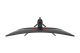 фото Монитор 32" Classic Solution VG3210PQU в Смоленске