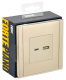 фото Розетка USB  IEK FP-U22-D31-K10 в Красноярске