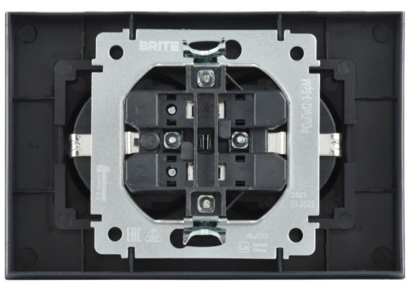 фото Розетка двухместная с заземлением  IEK BR-R28-16-K35-F в Санкт-Петербургe