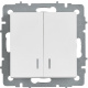 фото Выключатель двухклавишный с подсветкой  IEK BR-V20-1-10-K91 в Санкт-Петербургe