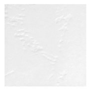 фото Обложка ГЕЛЕОС CCA4W