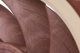 фото Вентилятор для корпуса Noctua NF-A12x25 PWM