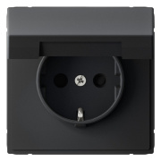 фото Розетка с заземлением Systeme Electric GAL001046