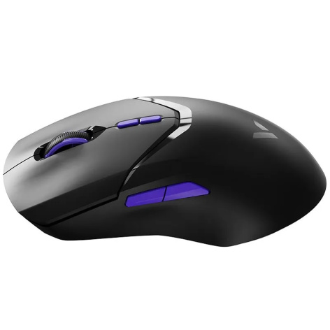 фото Мышь Wireless Rapoo VT9Pro4K в Екатеринбурге