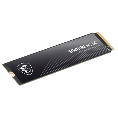 фото Накопитель SSD M.2 2280 MSI SPATIUM M560 в Уфе 1000 ГБ