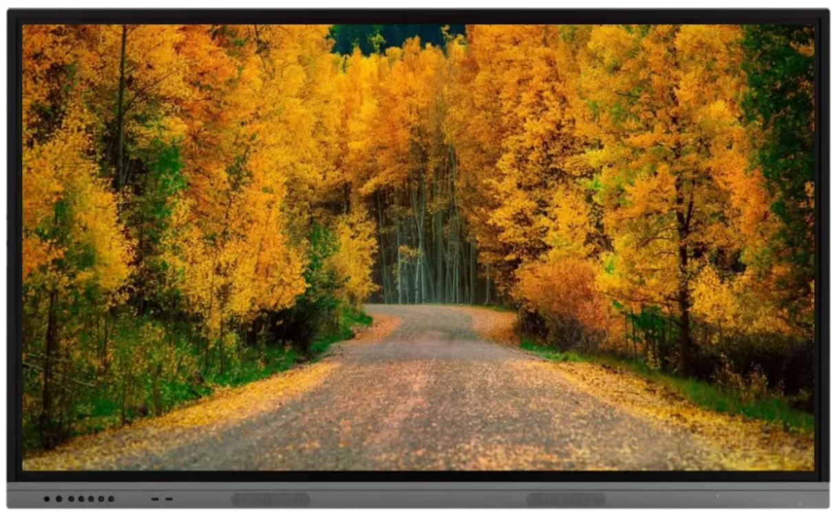 

Интерактивный дисплей BOE P75DE-CMRE 75", 3840x2160, 1200:1, 400кд/м2, HDMI*2, USB, USB2.0, USB3.0, ANT, RS232С, TF Card, Audio In, RJ45, AV IN, P75DE-CMRE