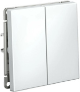 фото Выключатель двухклавишный Systeme Electric GAL000117S