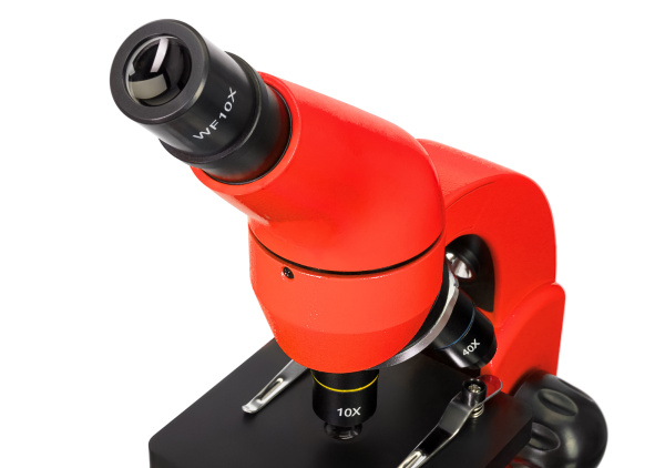 фото Микроскоп  Levenhuk Rainbow 50L Orange в Челябинске