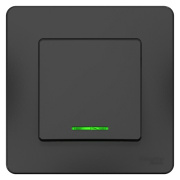 фото Выключатель Systeme Electric BLNVS010116