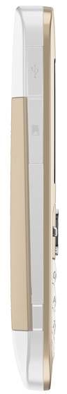 фото Мобильный телефон  Nokia C3-00 Golden White