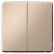 фото Выключатель двухклавишный Systeme Electric GAL001217