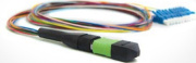 фото Патч-корд TopLAN PC-TOP-M54-12MPO(m)/U-12LC/U-0,5