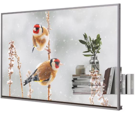фото Панель LCD  LG 55EW5P-M в Екатеринбурге