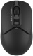 фото Мышь Wireless A4Tech Fstyler FG12 в Уфе