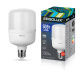 фото Лампа светодиодная ERGOLUX LED-HW-50W-E40-6K в Перми