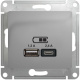 фото Розетка USB  Systeme Electric GSL000339 в Казани