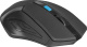 фото Мышь Wireless Defender Accura MM-275 Black-Blue в Самаре