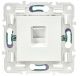 фото Розетка компьютерная  IEK SK-K10-1-K01 в Самаре