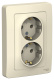 фото Розетка  Systeme Electric BLNRS001022 в Санкт-Петербургe