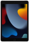 фото Планшет Apple iPad 2021 Wi-Fi + Cellular 256GB - Silver