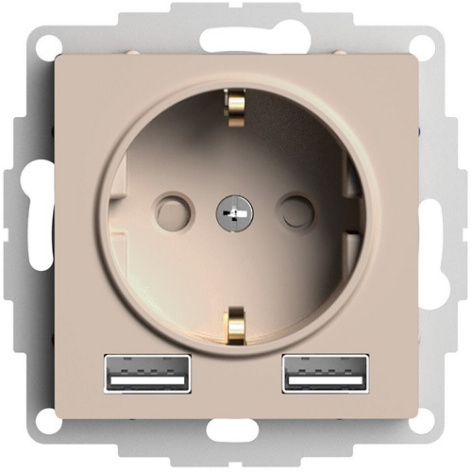 фото Розетка с заземлением с 2 USB  Systeme Electric ATN001230 в Уфе