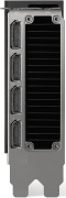 фото Видеокарта nVidia RTX 4500 Ada (900-5G132-2260-000)