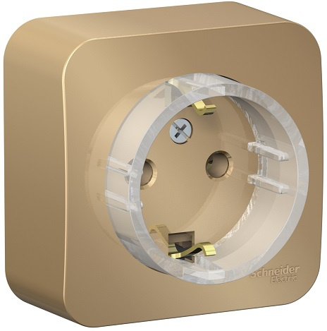 фото Розетка  Systeme Electric BLNRA110114 в Екатеринбурге