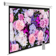 фото Экран Cactus CS-PSME-420X315-WT