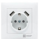 фото Розетка с заземлением с 2 USB в сборе EKF EWR16-028-10-2USB в Челябинске