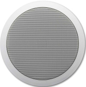 фото Акустическая система BIAMP CM20T