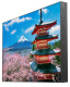фото Панель LCD  EliteBoard PK555FFLN