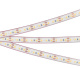 фото Лента светодиодная  Arlight RTW-PFS-A120-11mm 12V White6000 в Перми