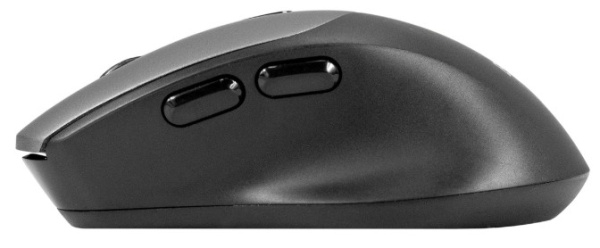 фото Мышь Wireless Exegate Professional Standard BT-070 в Уфе