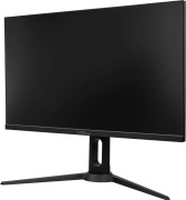 фото Монитор Delta Computers «Сова» OM270I