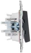 фото Переключатель двухклавишный IEK SK-V22-1-10-K53